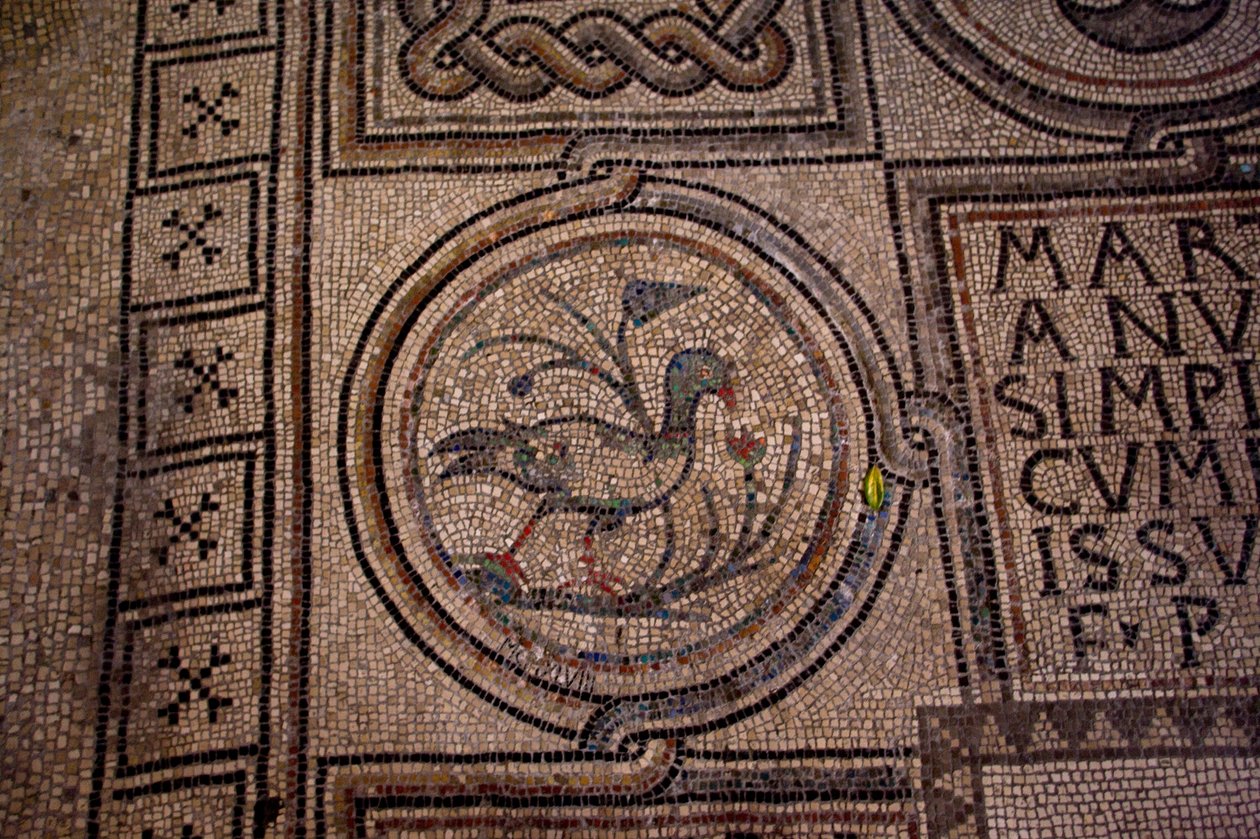 Detalhe da decoração do chão (mosaico) de School Italian