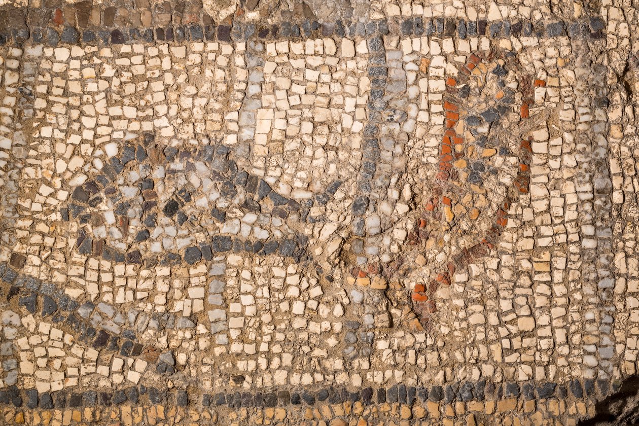 Mosaico de Timóteo, século VI (mosaico) de School Italian