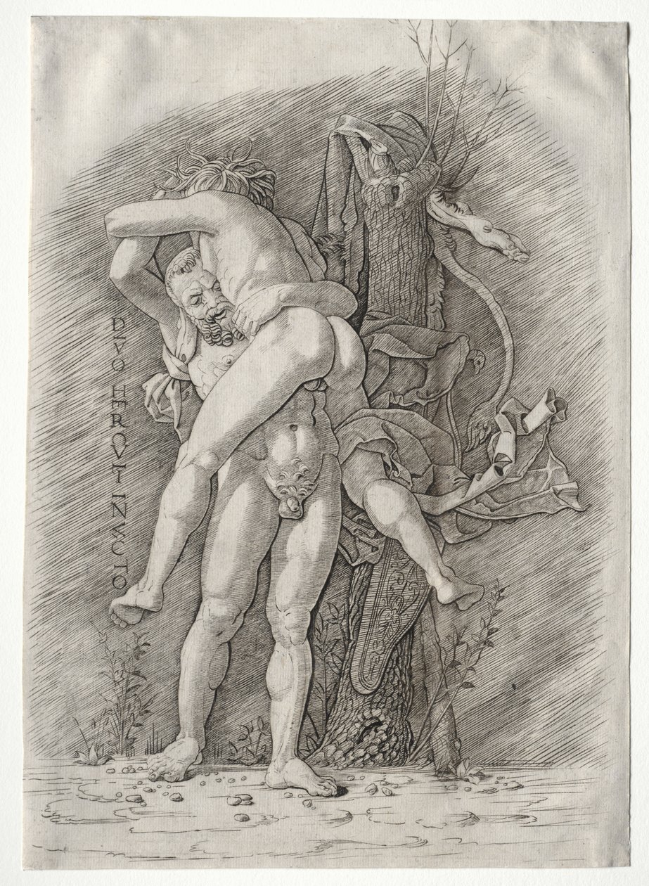 Hércules e Anteu de school of Andrea Mantegna