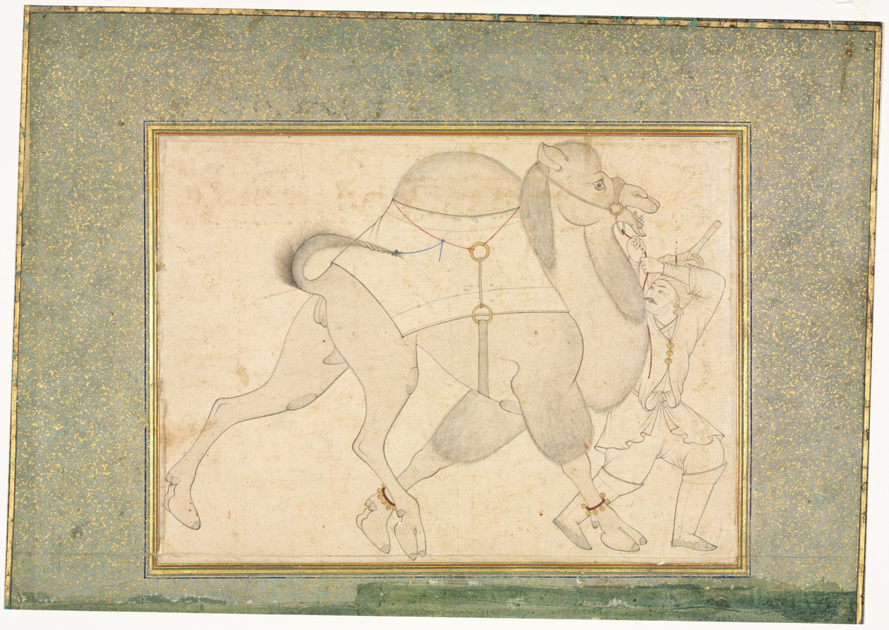 Camelo e Noivo; Ilustração de página única de style of Shaykh Muhammad