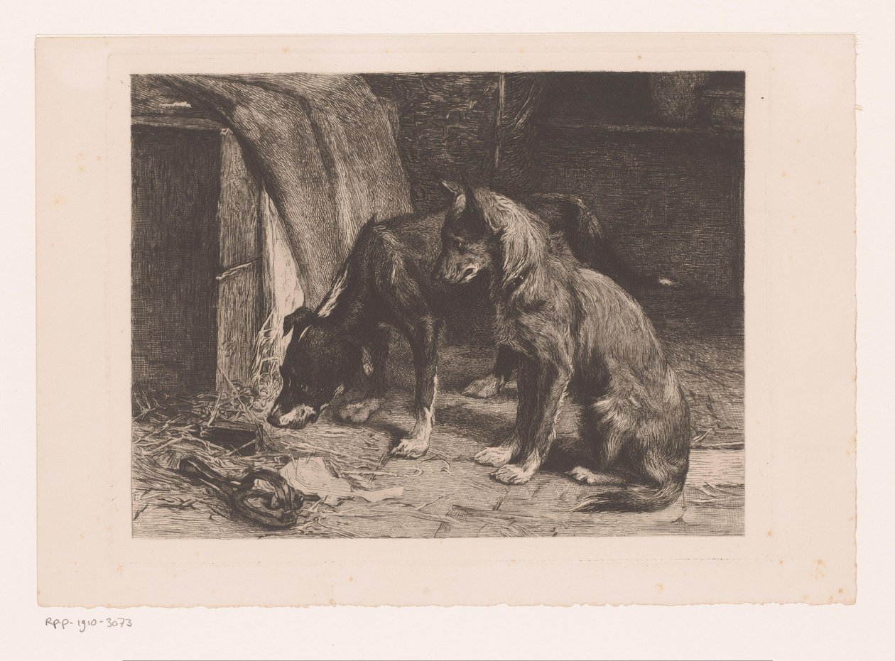 Dois cães numa armadilha para ratos de van den Eyken (attributed to)