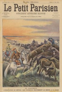 Migração do gado na Camargue: uma manada de touros nadando através do rio Ródano (cor litho) de (after) Carrey