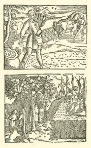 Ilustração para As Baladas Roxburghe (xilogravura) de (after) English School