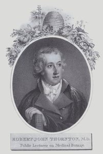 Robert John Thornton (litho) de (after) English School