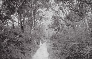 Fairlight Glen (fotografia a preto e branco) de (after) English photographer