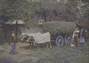 Attelage Bearnais (foto colorida) de (after) French Photographer