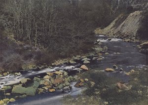 Gorges de la Cere perto de Laval de Cere (foto colorida) de (after) French Photographer
