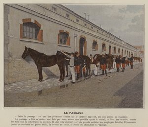 Le Pansage (foto colorida) de (after) French Photographer