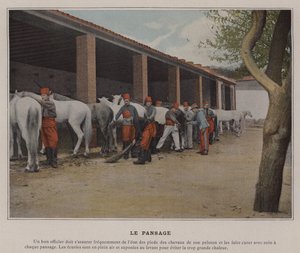 Le Pansage (foto colorida) de (after) French Photographer