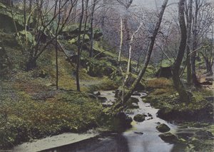 Vaux de Cernay, Les Cascades (foto colorida) de (after) French Photographer