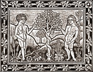 A árvore da qual Adão comeu a maçã, facsimilie de um livro de meditação, o primeiro livro impresso em Albi, Languedoc, em 1481 de (after) French School