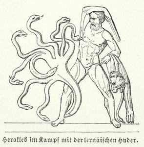 Heracles lutando contra a Hidra de Lerna (gravura) de (after) German School
