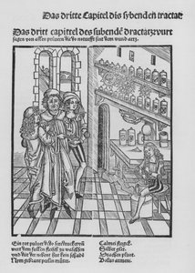 O Livro de Cirurgia de Hieronymus Brunschwig (litho) de (after) German School