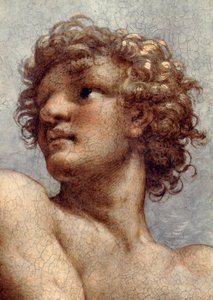 Visão de São João Evangelista sobre Patmos, Ascensão de Cristo entre os Apóstolos, ou Cristo em Glória por Antonio Allegri, conhecido como Correggio (1489-ca 1534), fresco, 966x888 cm de diâmetro na base, detalhe, Igreja de São João Evangelista, cúpula, Pa