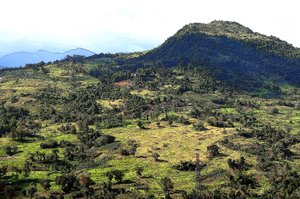 Cebu Hills de Detlef B. Fischer