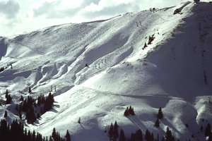 Encosta com neve de Detlef B. Fischer