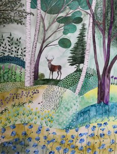 primavera na floresta