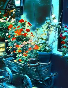 Flores ao luar.
