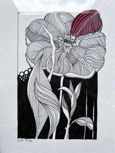 Florescer de Urs Grünenfelder