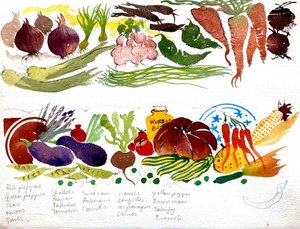 Um pano de cozinha, aquarela 40x60 2007