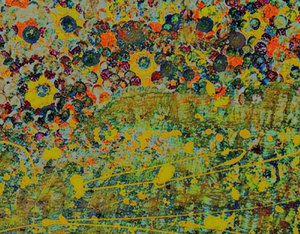 Sinfonia de flores.