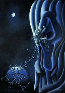 SURDEZ de Anghel De Marco
