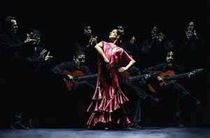 Dançarina de flamenco orgulhosa