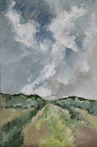Estrada no verde de M. Vet