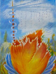 Flor de laranjeira