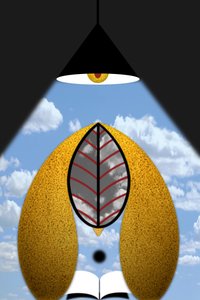 Iluminismo II (ou-ou / toda a teoria é cinzenta) de Alexander Eibach