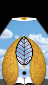 A luz pensativa