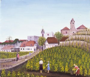 Vindima em Dürnstein