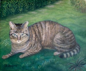 A gata Júlia
