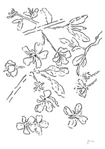  de june art