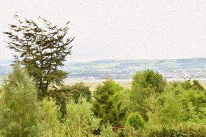 Pintura a óleo: Paisagem natural de Albert Mansour