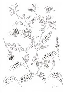Estudo sobre abelhões e flores silvestres de june art