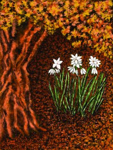 Herbstblumen de Carol Sousa Cuello