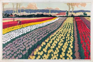 Sem título, da série "Bolbos para jardins domésticos" (litografia a cores) de A.A. Moores