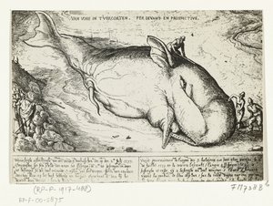 Impressão de baleia lavada em terra perto de Antuérpia, 2 de Julho de 1577 de A.B. van Deinse