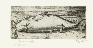 Impressão da baleia lavada perto de Antuérpia, 2 de julho de 1577 de A.B. van Deinse