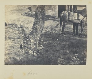 Quebrar e dobrar os carris à volta da árvore de A.J. Russell