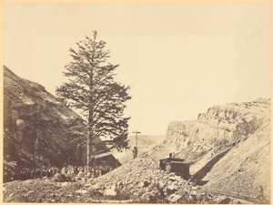 Árvore de Mil Milhas, Passo de Wilhemina