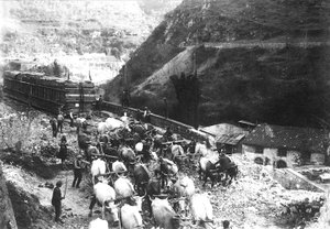 Numerosos bois transportam um enorme comboio contendo mármore, acabado de ser trazido para o vale de uma pedreira apuana (foto a p/b) de A. Corsini