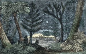 Pré-história: paisagem característica com pântano e floresta