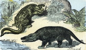 Pré-história: representação de um iguanodonte e megalossauro do período cretáceo