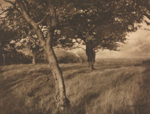 Trabalho de câmera: além de A. Horsley Hinton