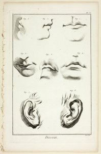 Desenho: Anatomia Facial de Encyclopédie