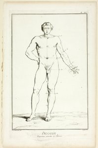 Desenho: Proporções gerais do homem, da Encyclopédie