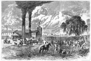 Sugar Plantation, Nova Orleans, 1870. de A. R. Ward
