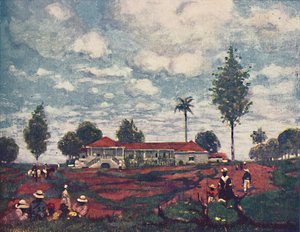 A Coffee Fazenda, 1916 de A. S. Forrest